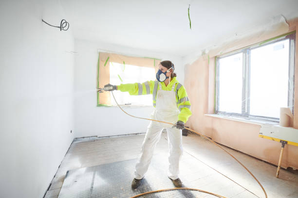 Best Black Mold Removal  in Morrisonvle, IL