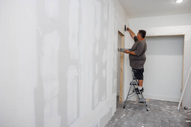 Best Biohazard Mold Removal  in Morrisonvle, IL