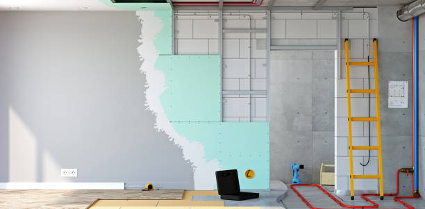 Best Mold Odor Removal Services  in Morrisonvle, IL