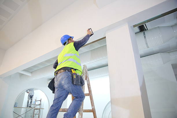 Best Comprehensive Air Testing for Mold Contaminants  in Morrisonvle, IL