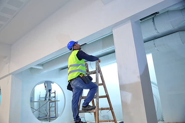  Morrisonvle, IL Mold Removal Pros